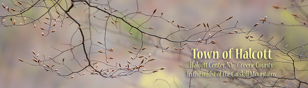 Town of Halcott, Halcott Center, NY